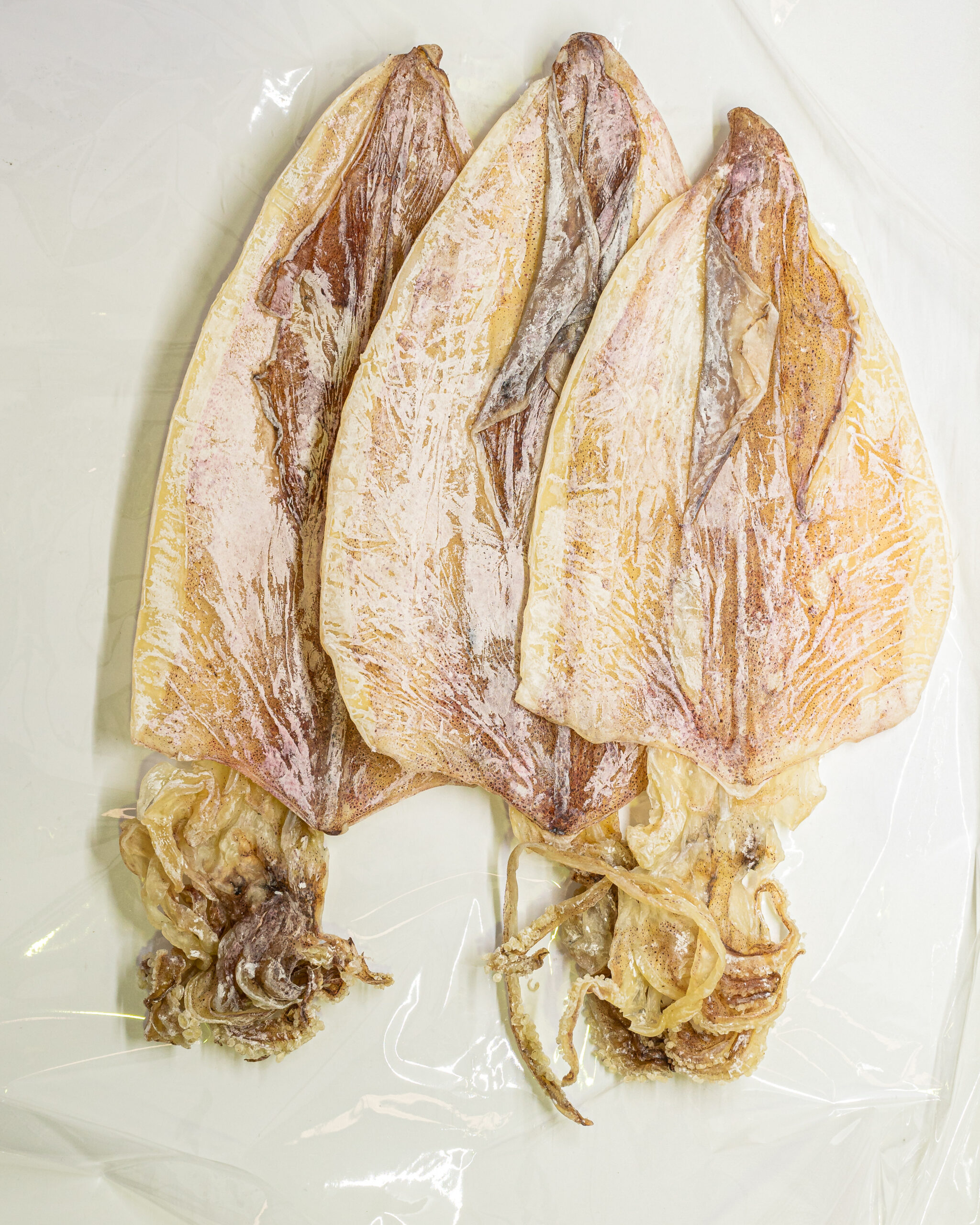 Dried Squid Image
